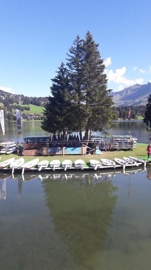 Ferien In Der Region Lenzerheide 아파트 외부 사진